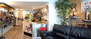 Lezayre Landscapes Studio Interior Lezayre Landscapes Studio Interior